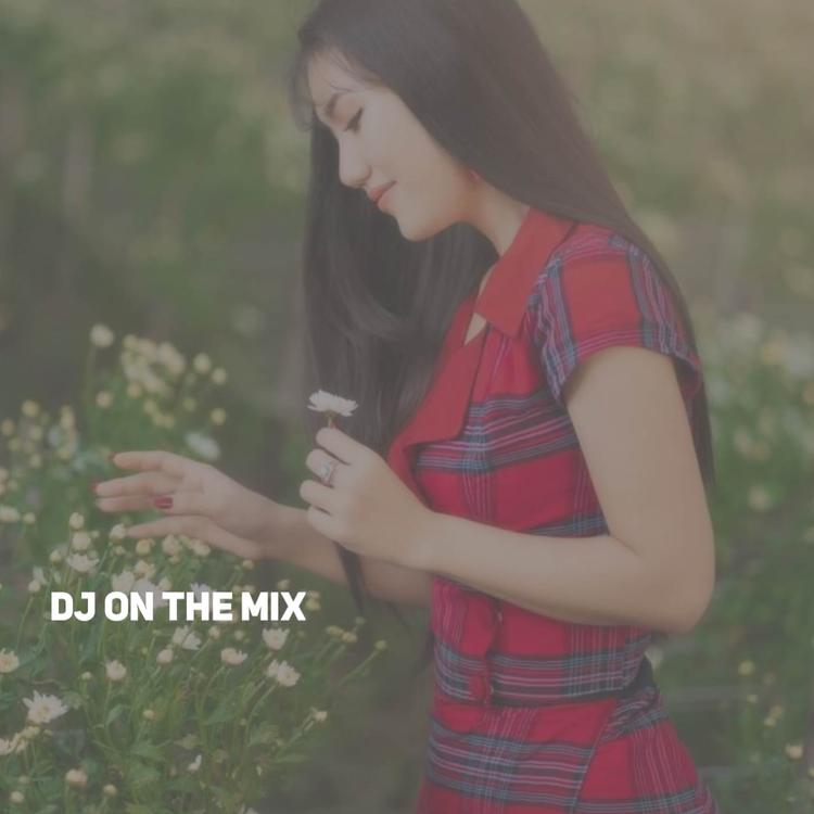 DJ ON THE MIX's avatar image
