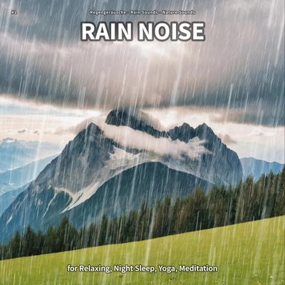 Nice Night By Regengeräusche, Rain Sounds, Nature Sounds's cover