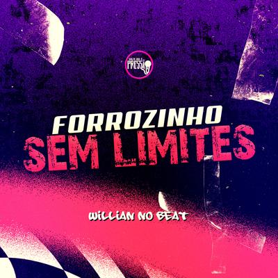 Forrozinho Sem Limites's cover