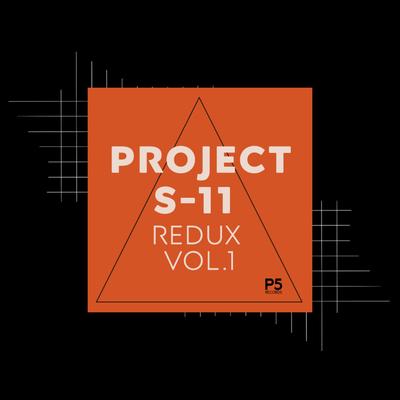 PROJECT S-11's cover