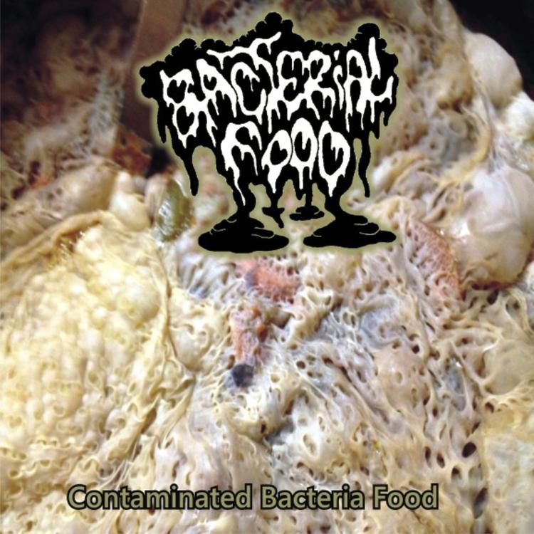 Bacterial Food's avatar image