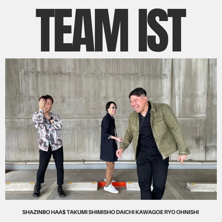 TEAM IST's avatar image