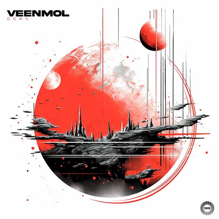 VEENMOL's avatar image