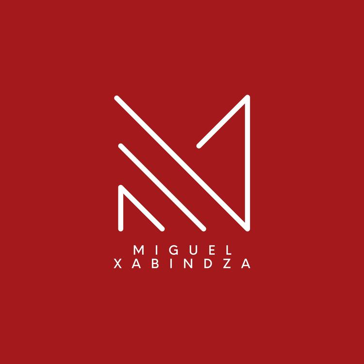 Miguel Xabindza's avatar image