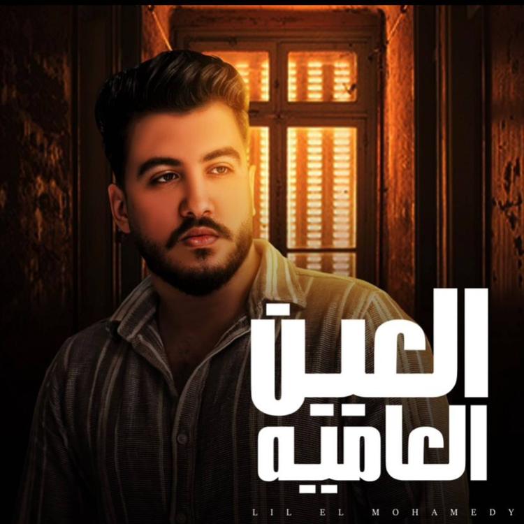 ليل المحمدي's avatar image