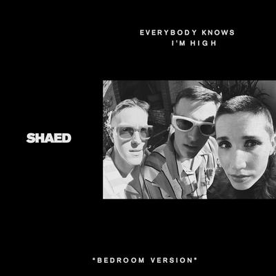 Everybody Knows I'm High (bedroom version)'s cover