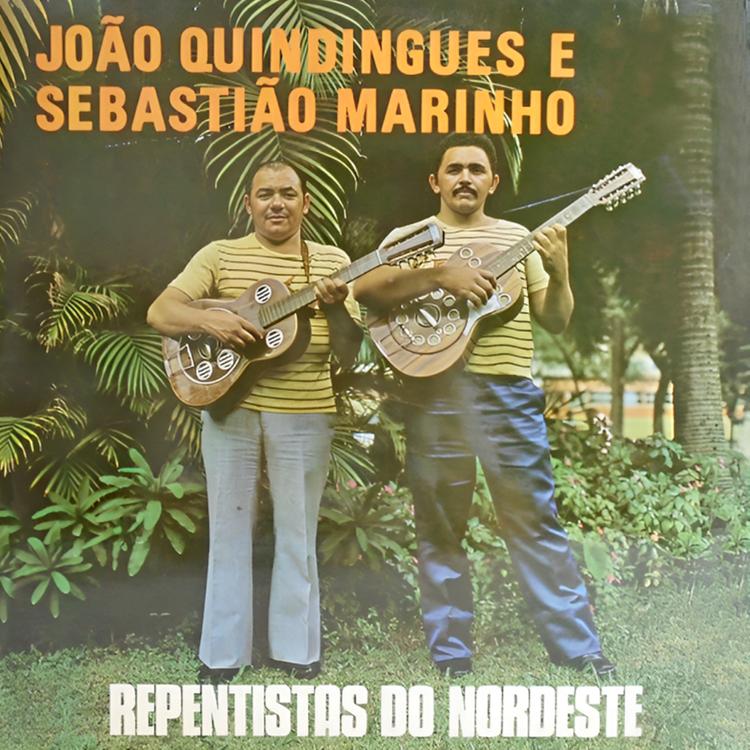 João Quindingues e Sebastiao Marinho's avatar image