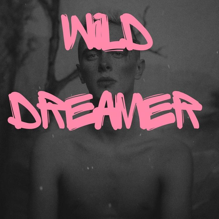 Wild Dreamer's avatar image