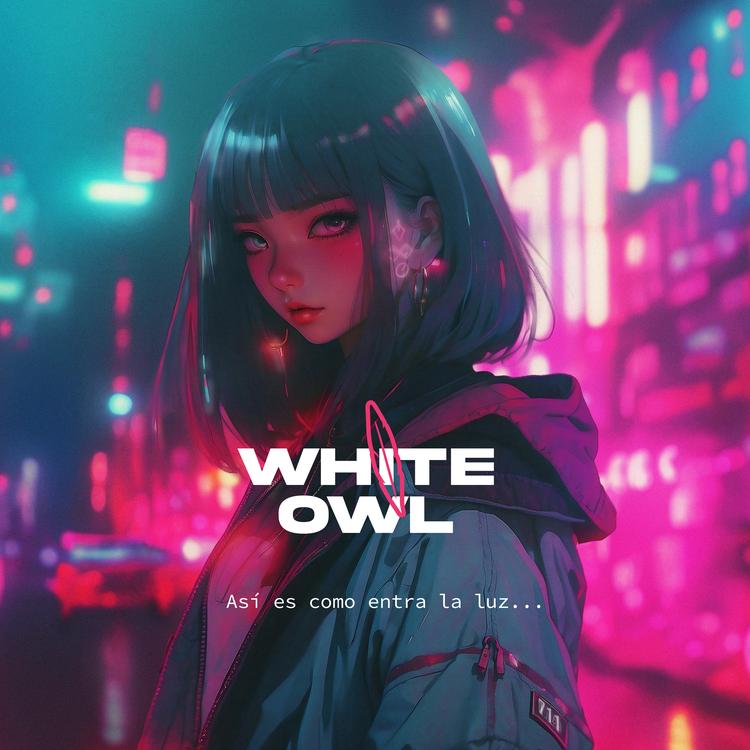 White Owl's avatar image