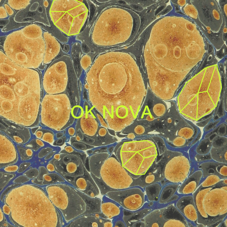 Ok Nova's avatar image