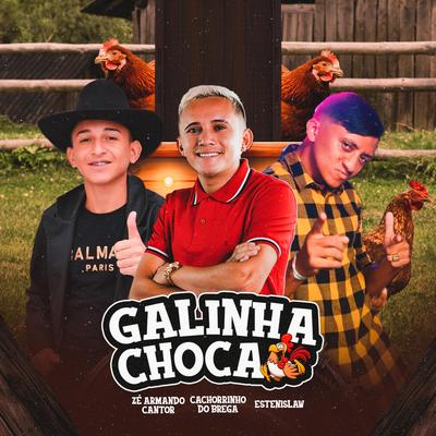 Galinha choca's cover
