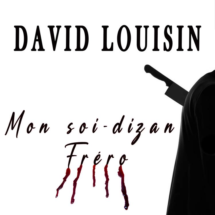 David Louisin's avatar image