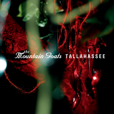 Tallahassee's cover