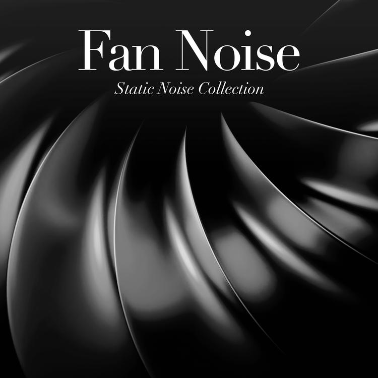Static Noise Collection's avatar image