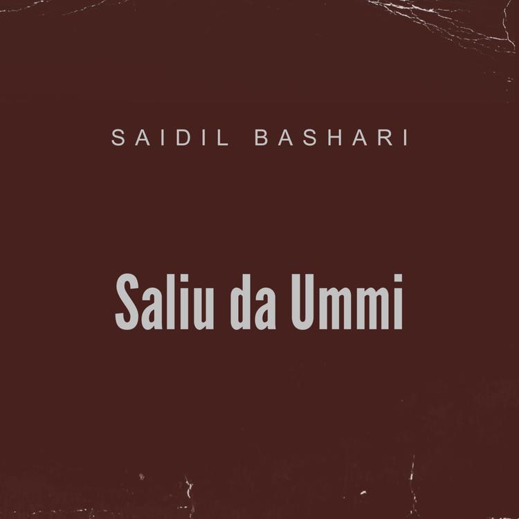 SAIDIL BASHARI's avatar image