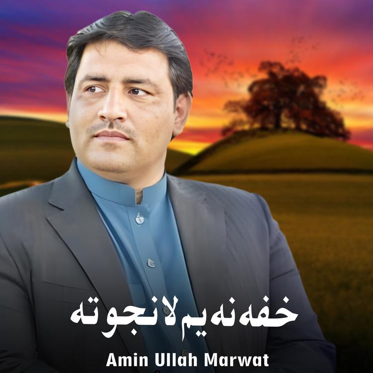 Amin Ullah Marwat's avatar image