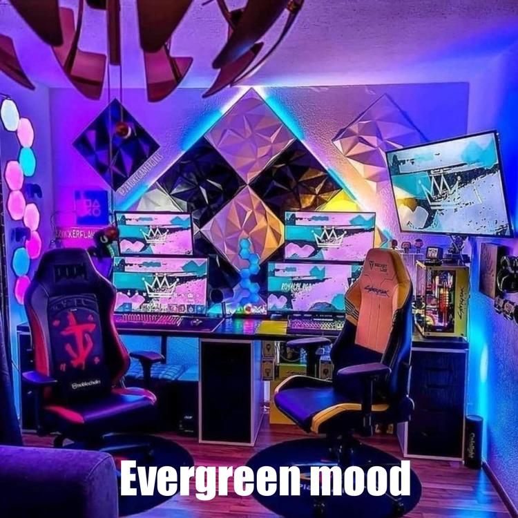 Evergreen mood's avatar image