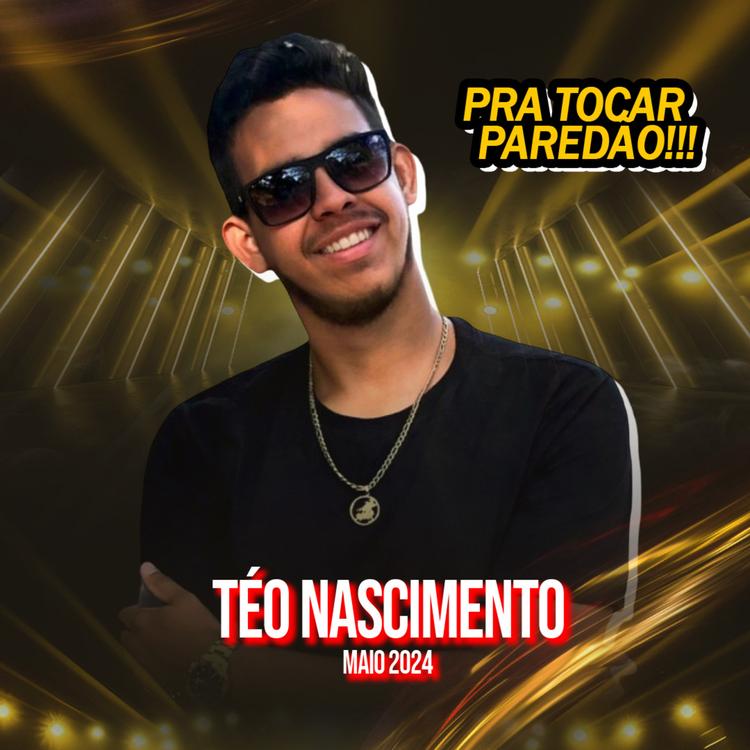Téo Nascimento's avatar image