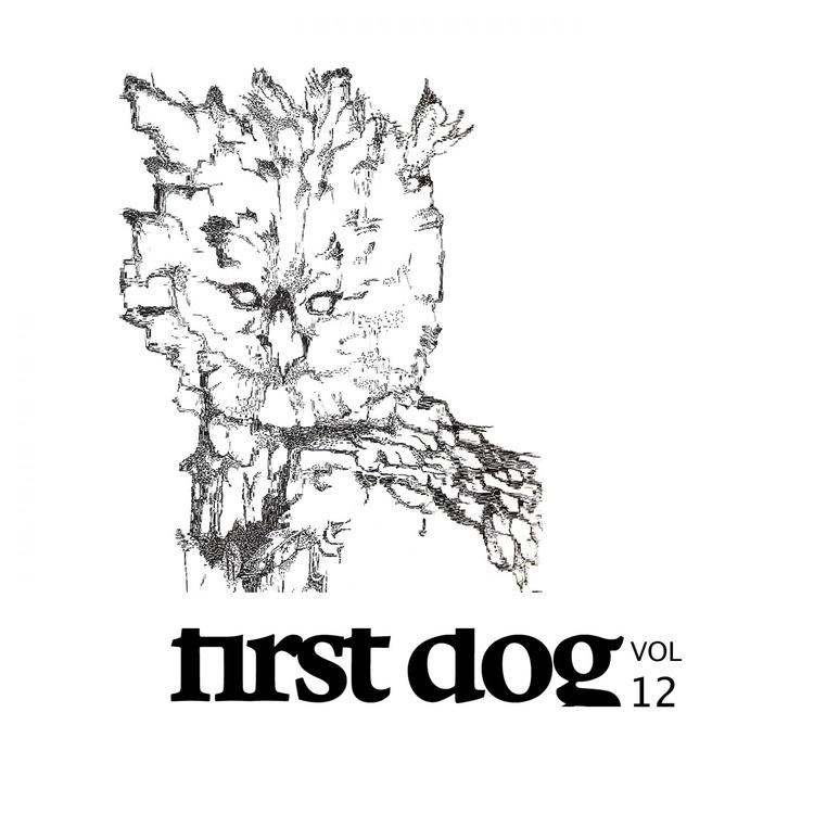 First Dog's avatar image