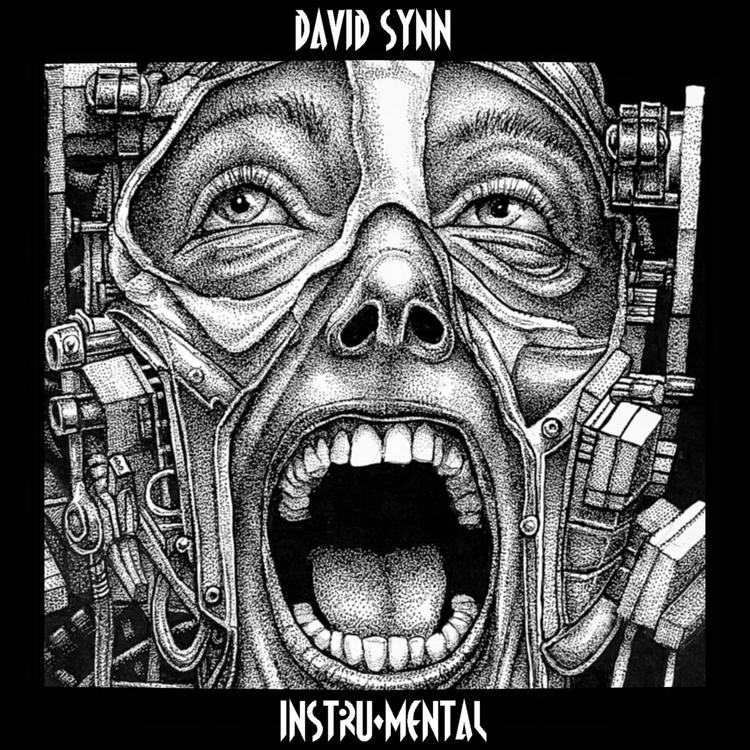 David Synn's avatar image