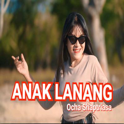 Ocha Shaptriasa's cover