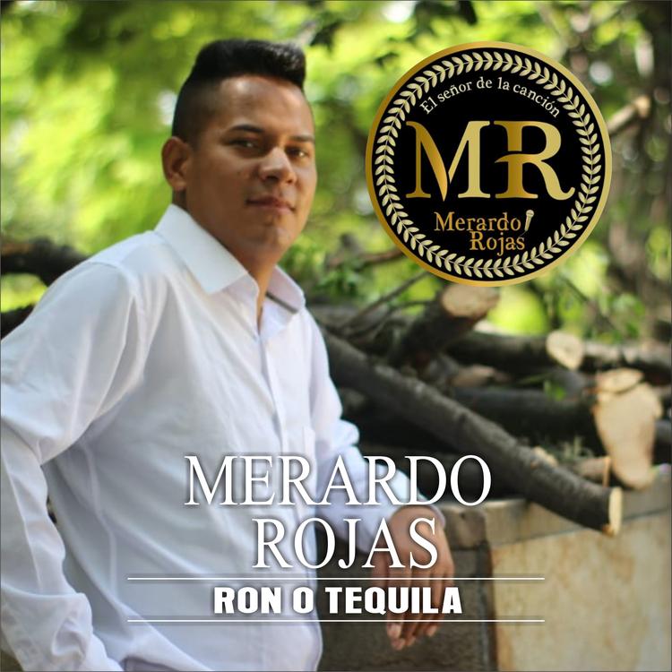 Merardo Rojas's avatar image