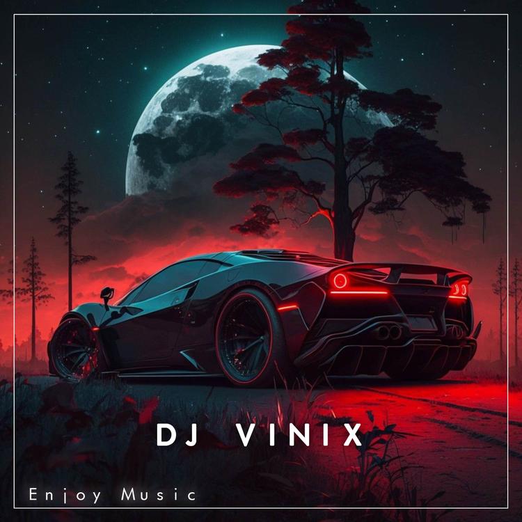 DJ Vinix's avatar image