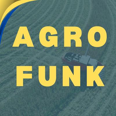 Agro Funk (Remix) By DJ DF KIT's cover