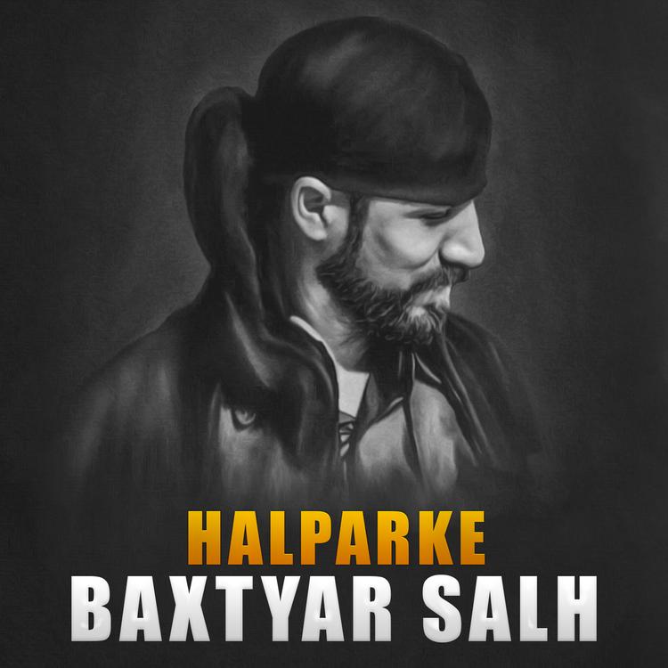 Baxtyar Salh's avatar image