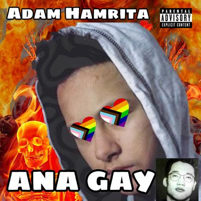 ANA GAY's cover