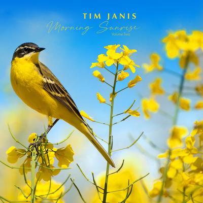 Christ the Lord Is Risen Today By Tim Janis's cover