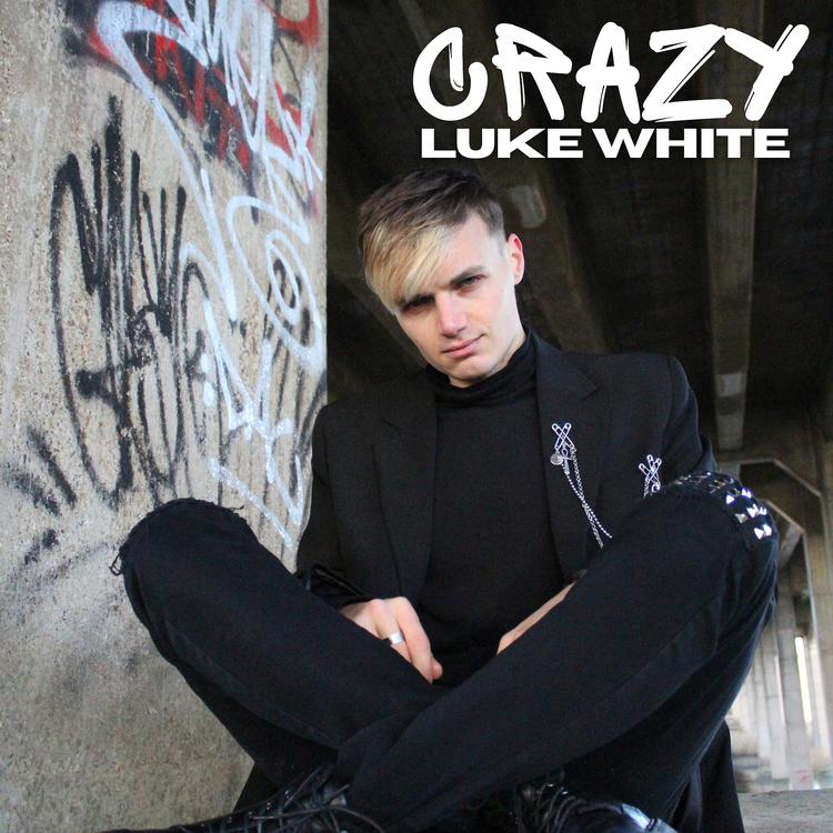 Luke White's avatar image