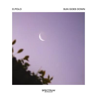 Sun Goes Down By D.Polo's cover