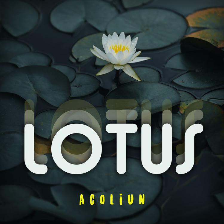 Acoliun's avatar image