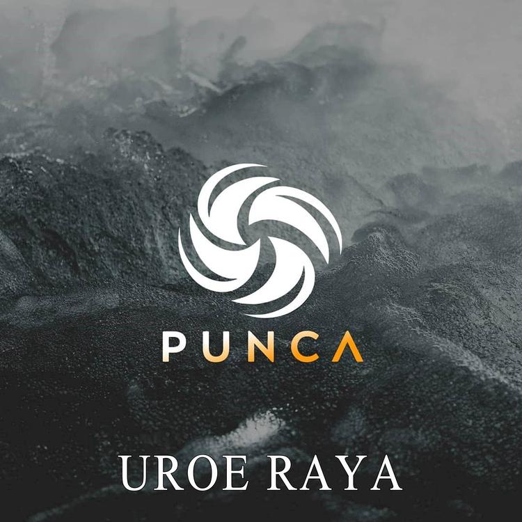 Punca's avatar image