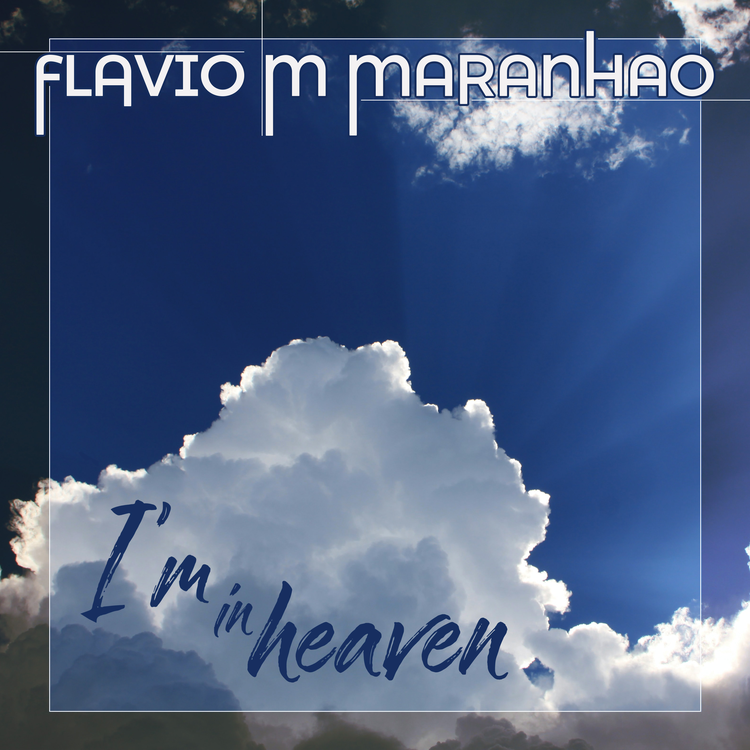 FLAVIO M MARANHAO's avatar image