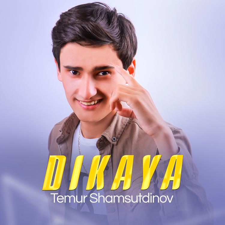 Temur Shamsutdinov's avatar image