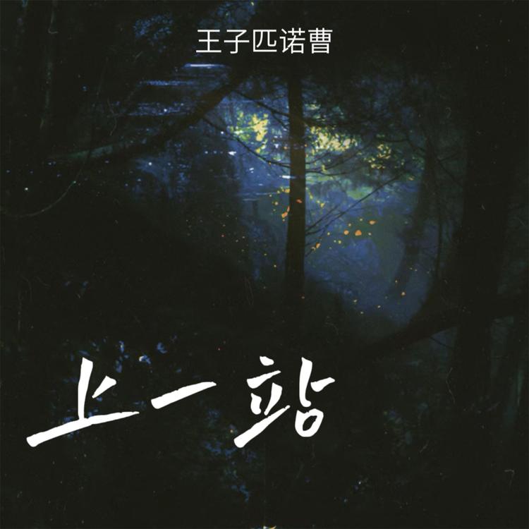 王子匹诺曹's avatar image
