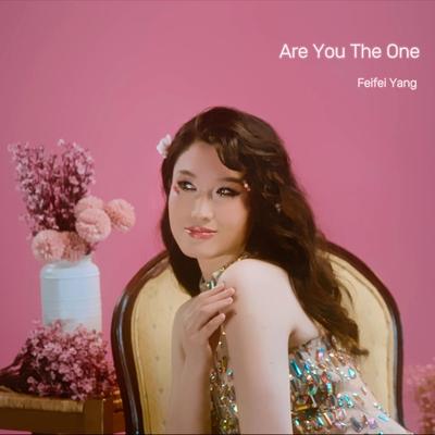 Are You The One's cover