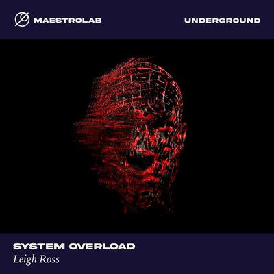 System Overload By Leigh Ross's cover