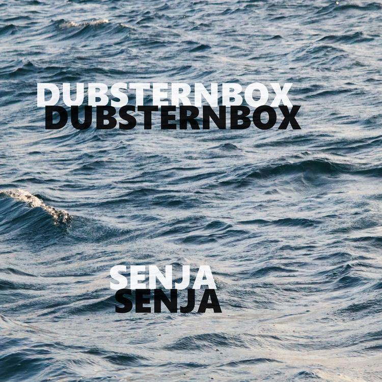 Dubsternbox's avatar image