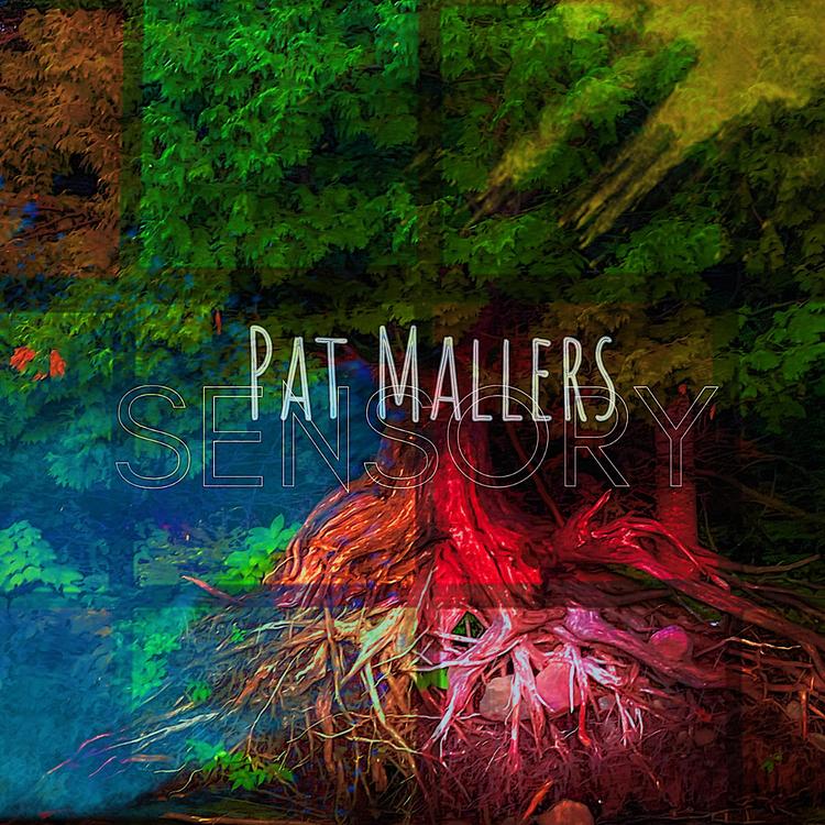 Pat Mallers's avatar image