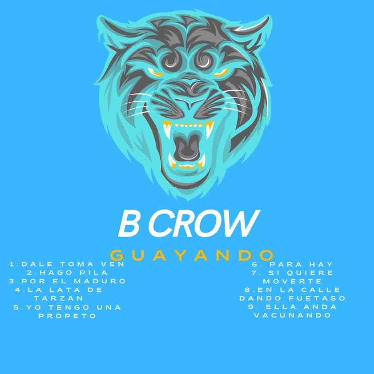 B Crow's avatar image