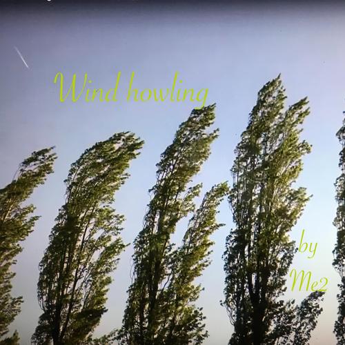 Wind howling Official TikTok Music - Me2 - Listening To Music On TikTok ...