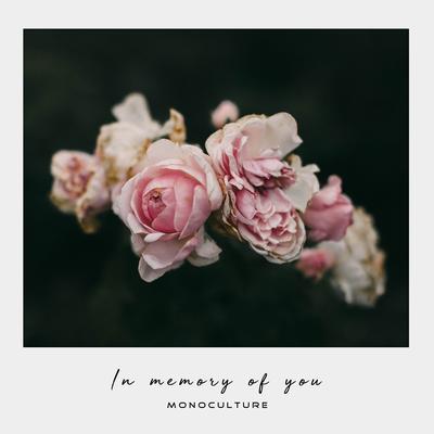 In Memory of You By Monoculture's cover