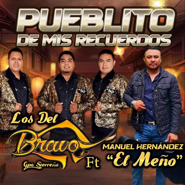 Los Del Bravo's avatar image