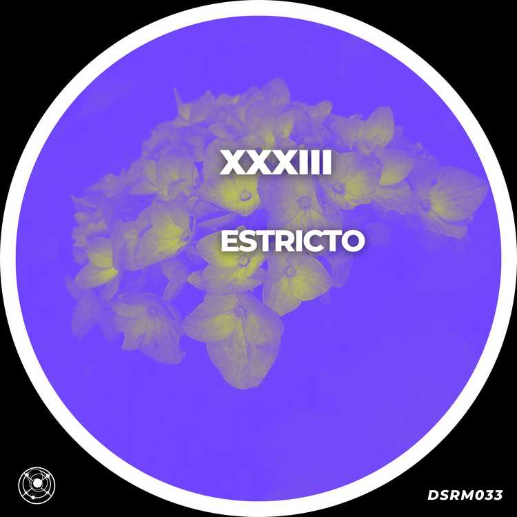 Estricto's avatar image