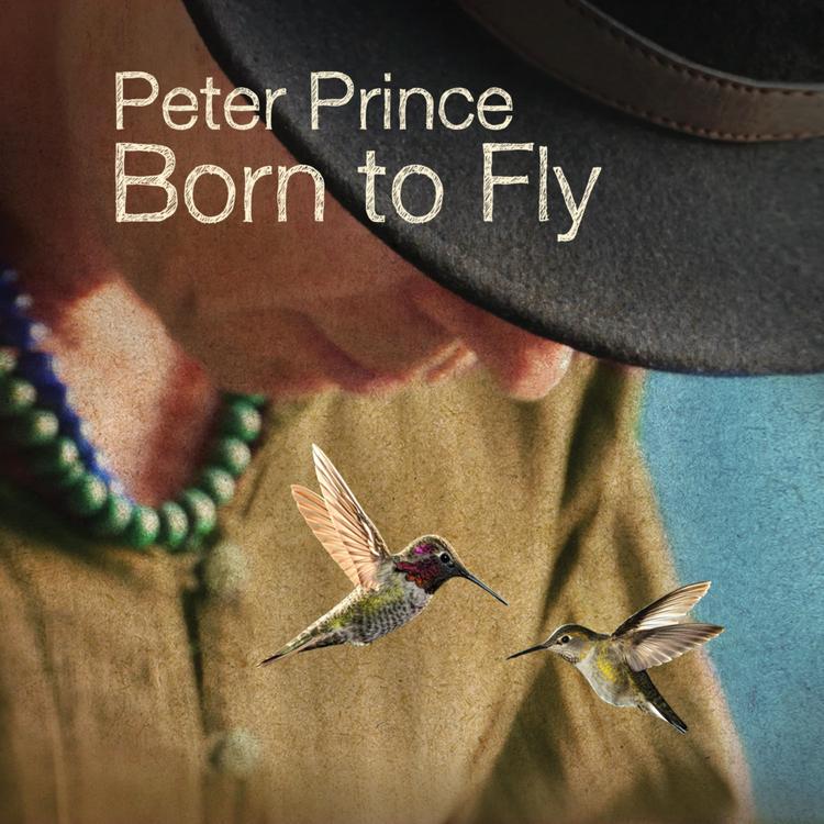 Peter Prince's avatar image