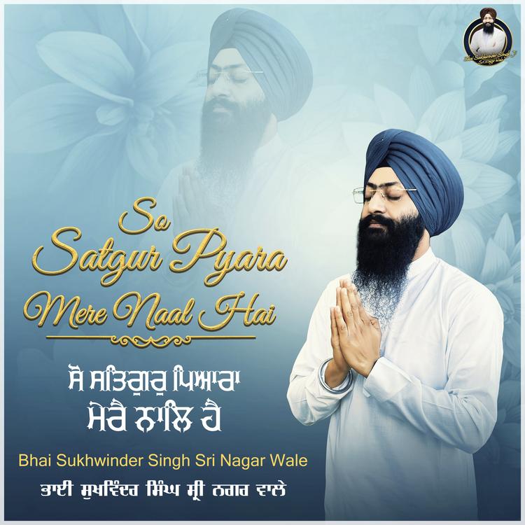 Bhai Sukhwinder Singh Sri Nagar Wale's avatar image