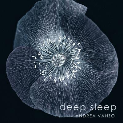 Deep Sleep By Andrea Vanzo's cover